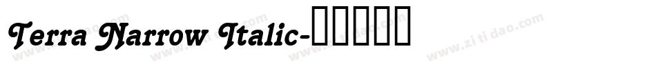 Terra Narrow Italic字体转换